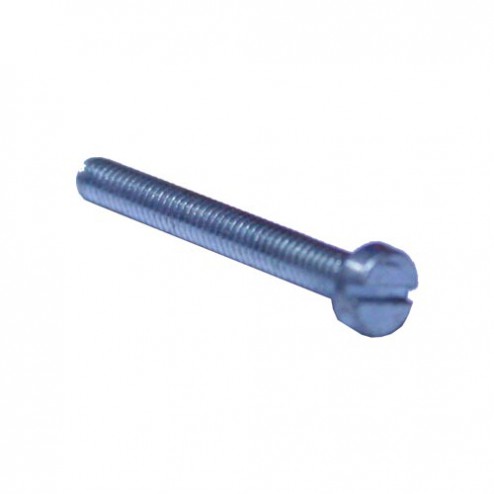screw 2.5mm x 20mm slotted hd