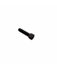 CAP SCREW H SOCKET HD (1/4-20 X 1")