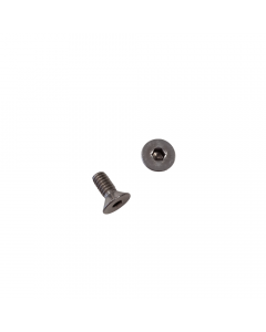 SCREW 1/4-20X5/8 FLT HD SS CAP