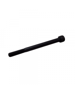 SOCKET HEAD CAP SCREW (10 mm x 120 mm)