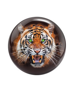 VIZ-A-BALL TIGER