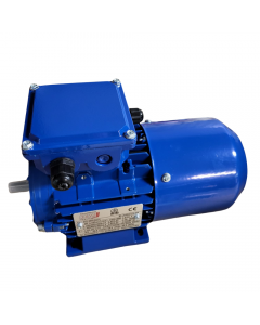 KING PIN MOTOR- SWEEP MOTOR